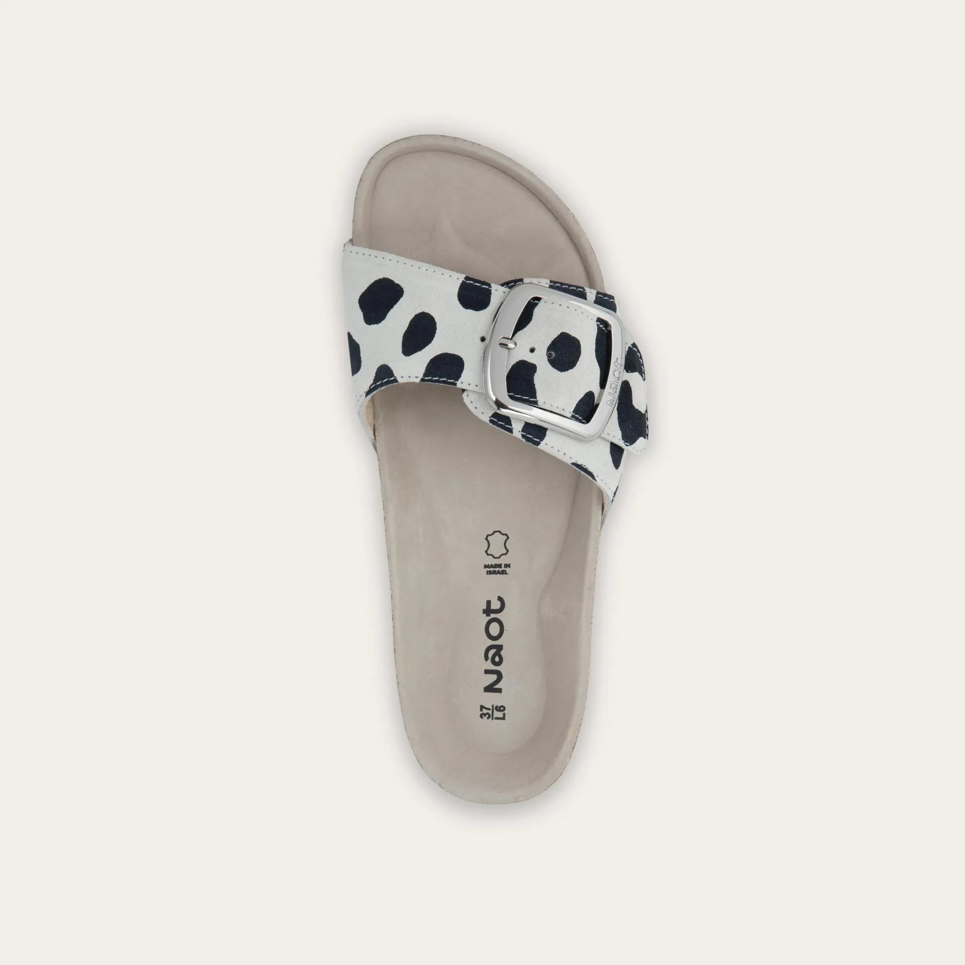 מרילנד שפלט נמר לבן