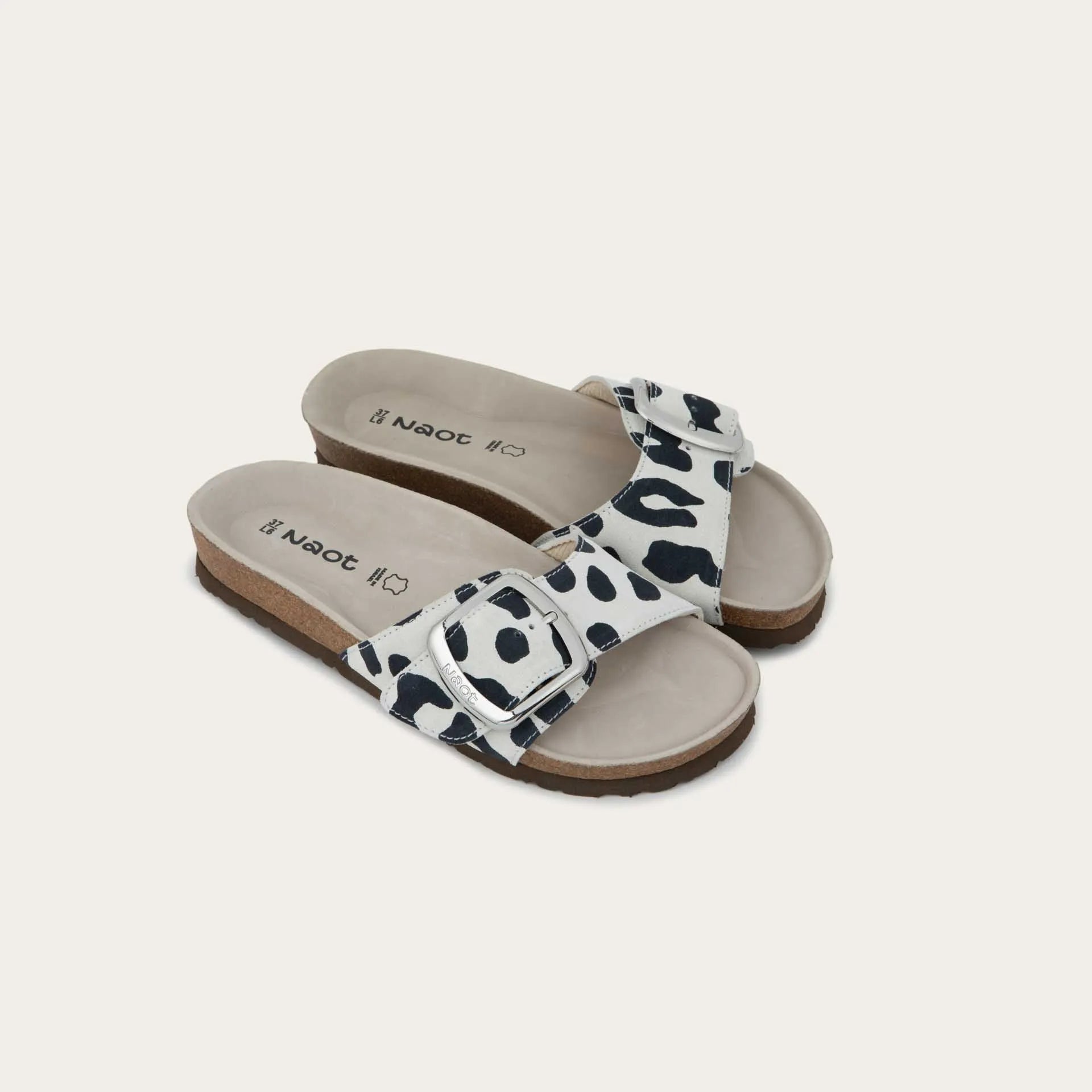 מרילנד שפלט נמר לבן