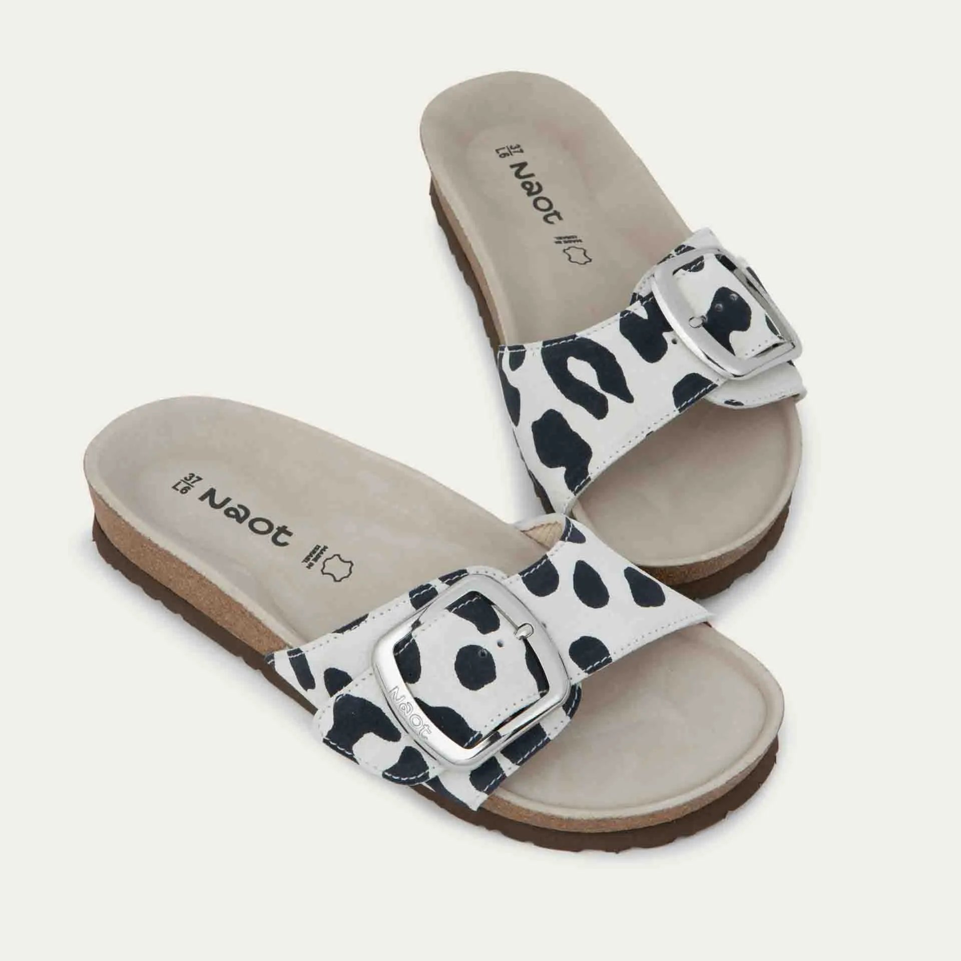 מרילנד שפלט נמר לבן