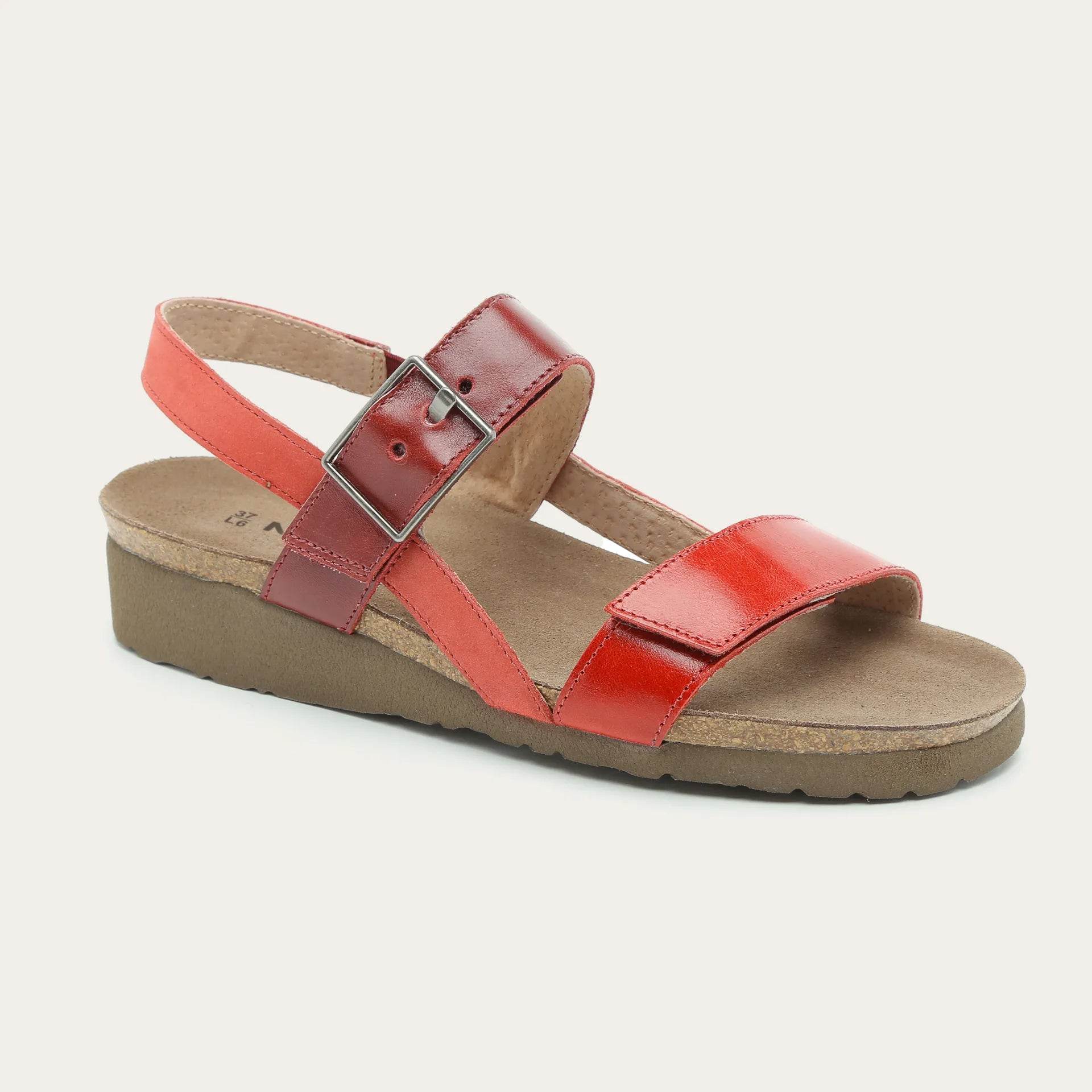 נעל קייטלין 080+C20+047 - נאות ישראל