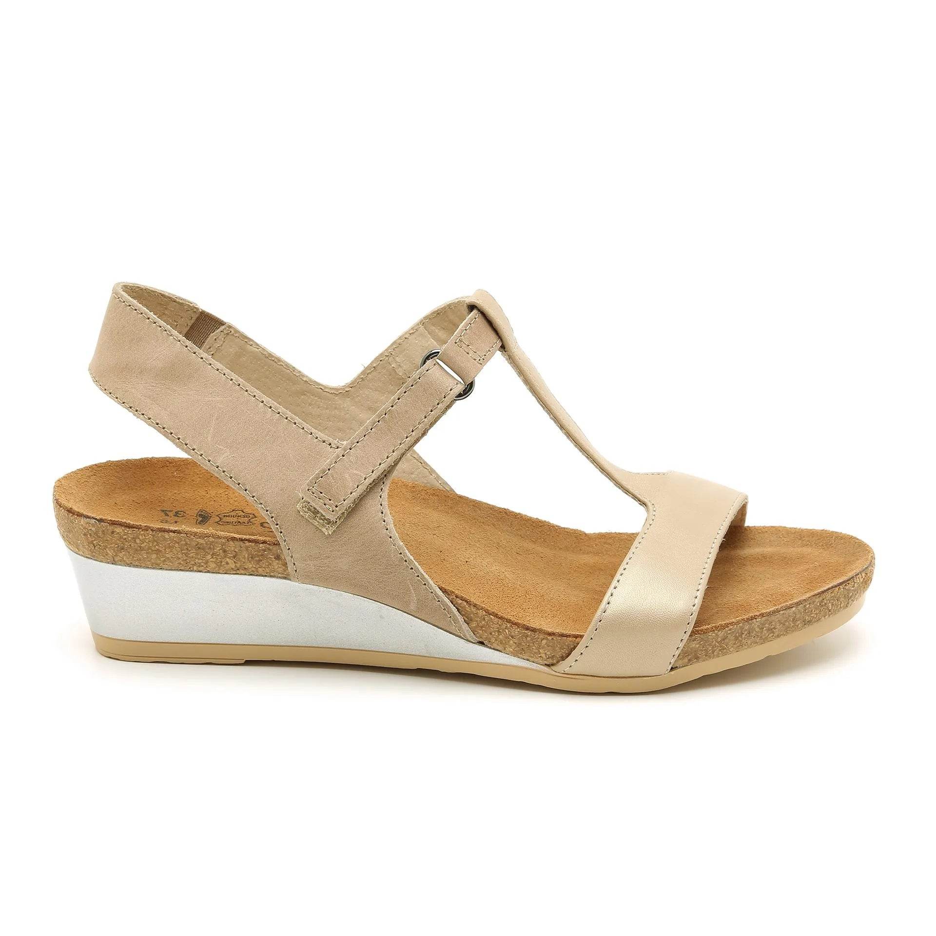 נעל יוניקורן F17+H46 - נאות ישראל