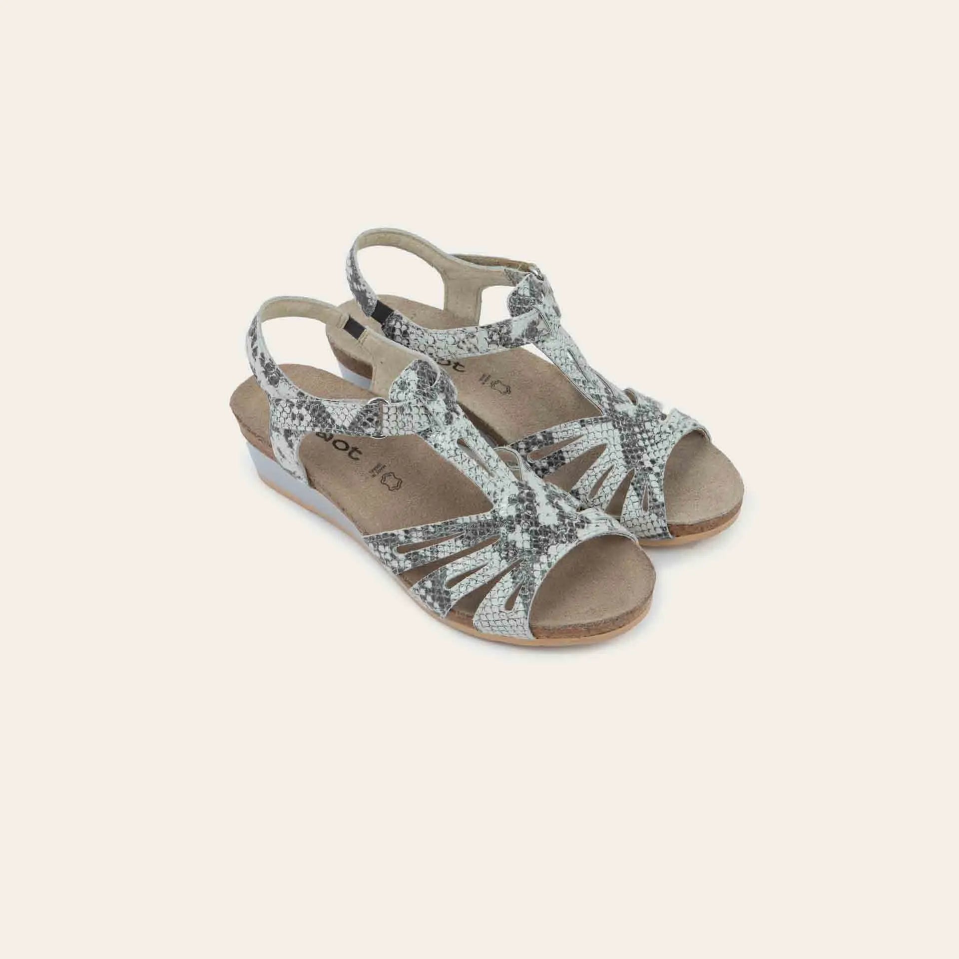 סטארלט שפלט נחש שחור לבן