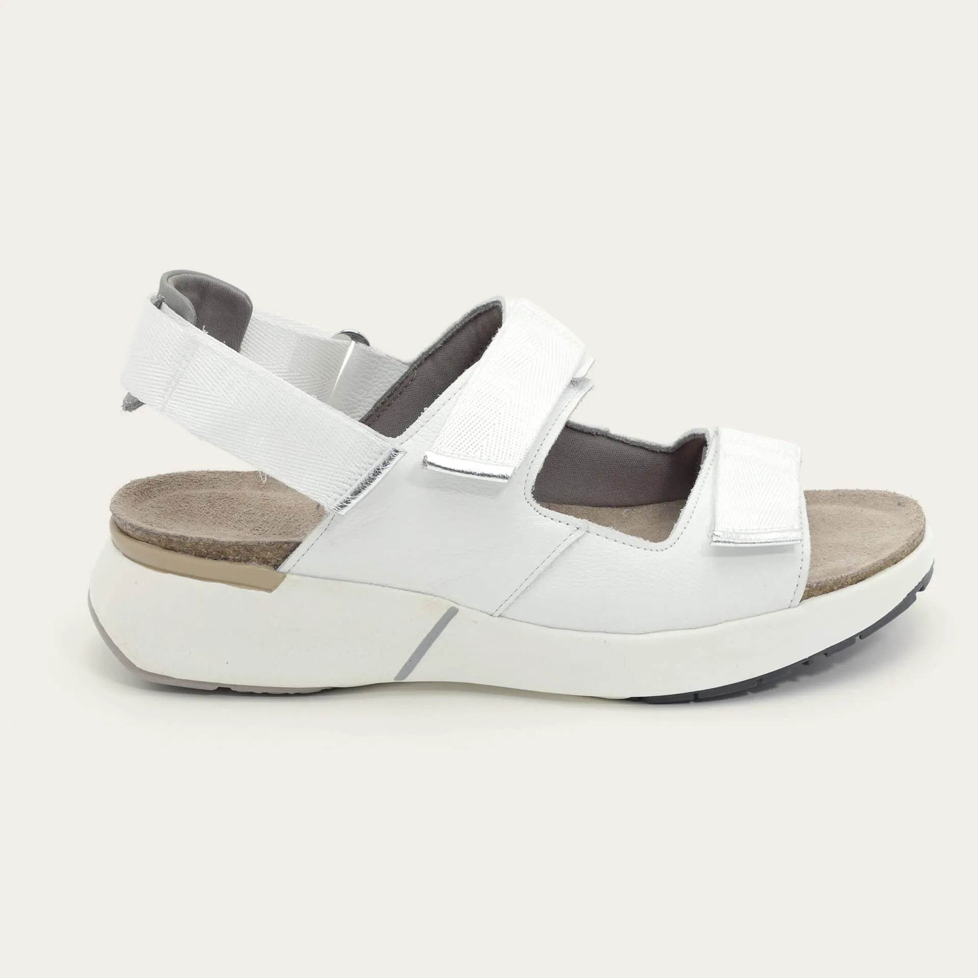 נעל אודיסיאה 95H+BA9+B05+H63 - נאות ישראל