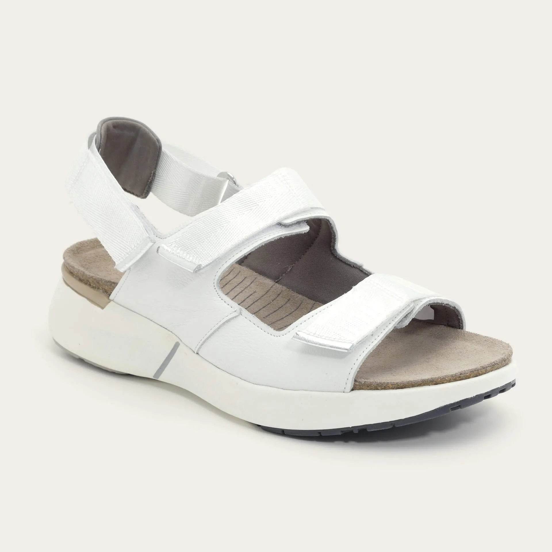 נעל אודיסיאה 95H+BA9+B05+H63 - נאות ישראל