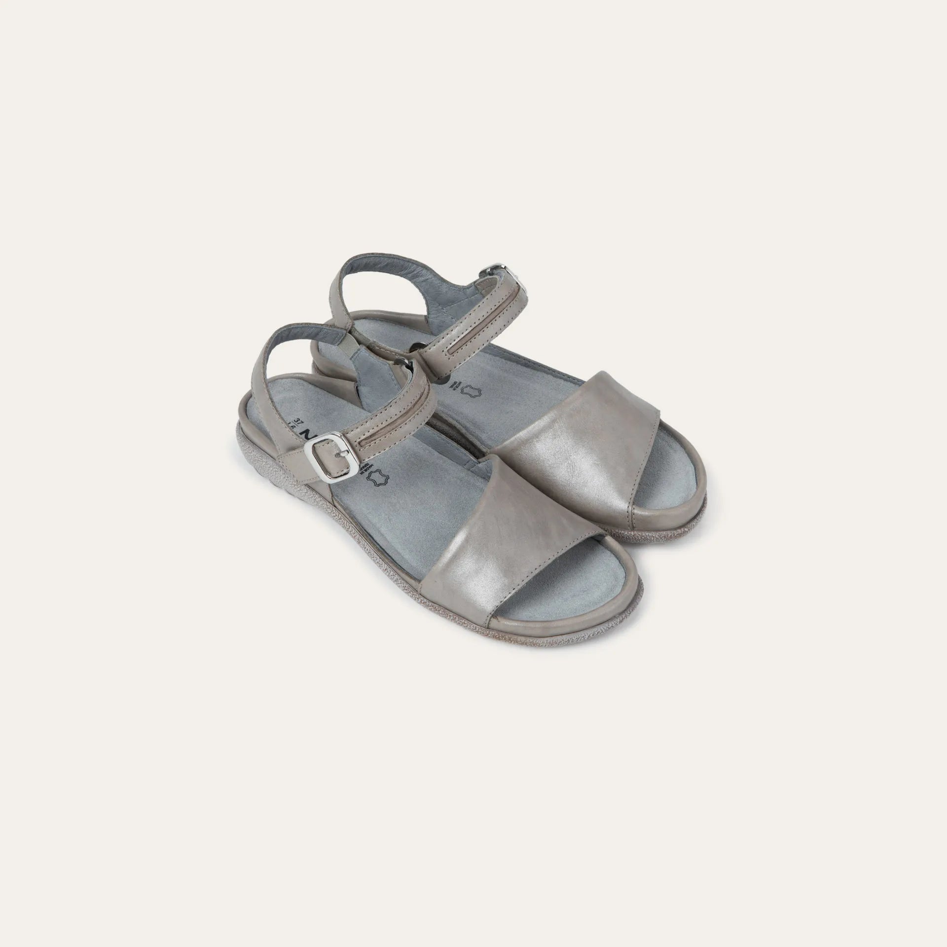 נאגויה אפור