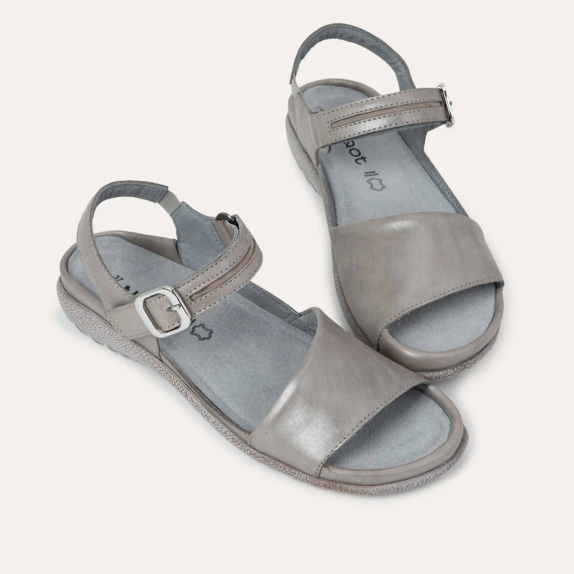 נאגויה אפור