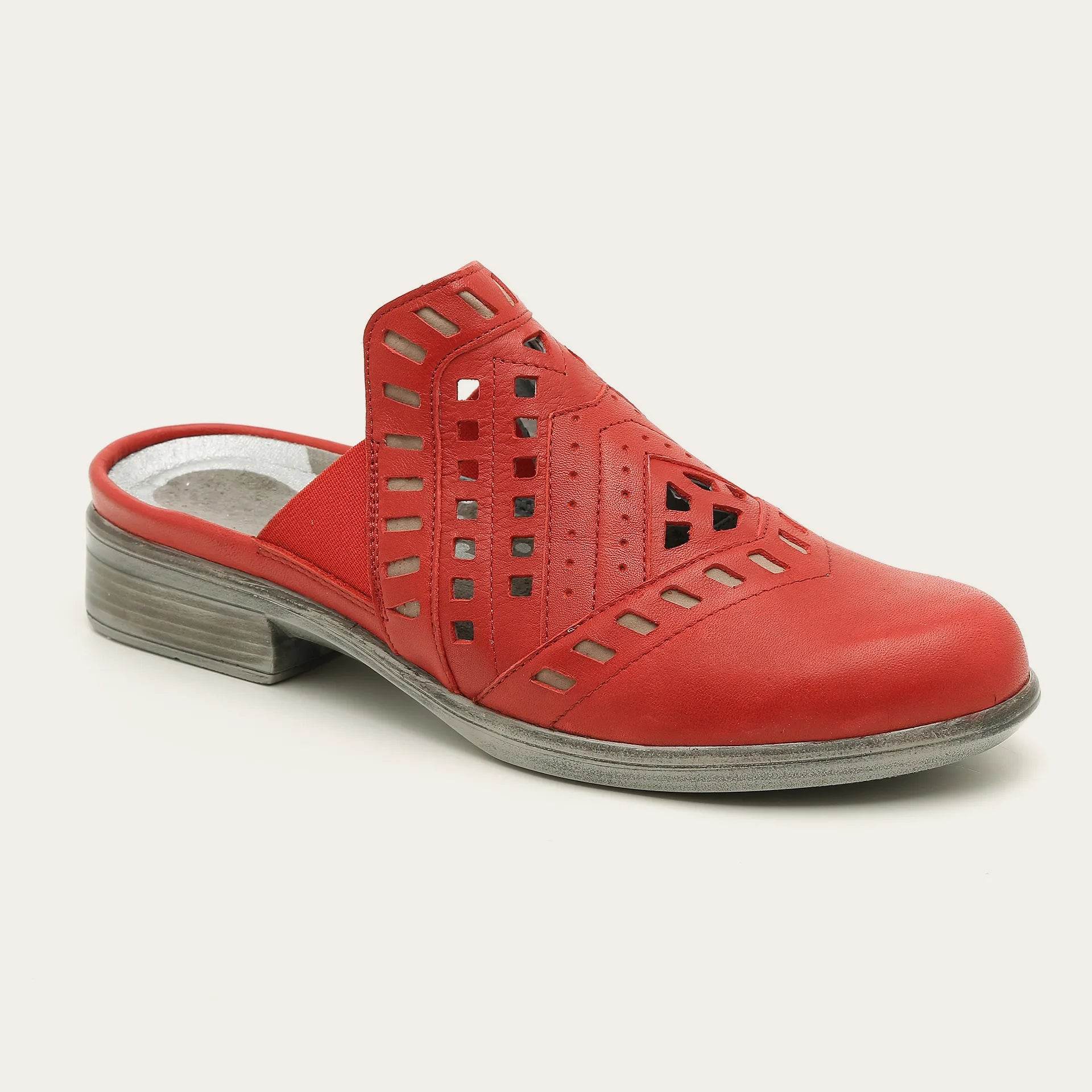 נעל שרקיה H53+C60 - נאות ישראל