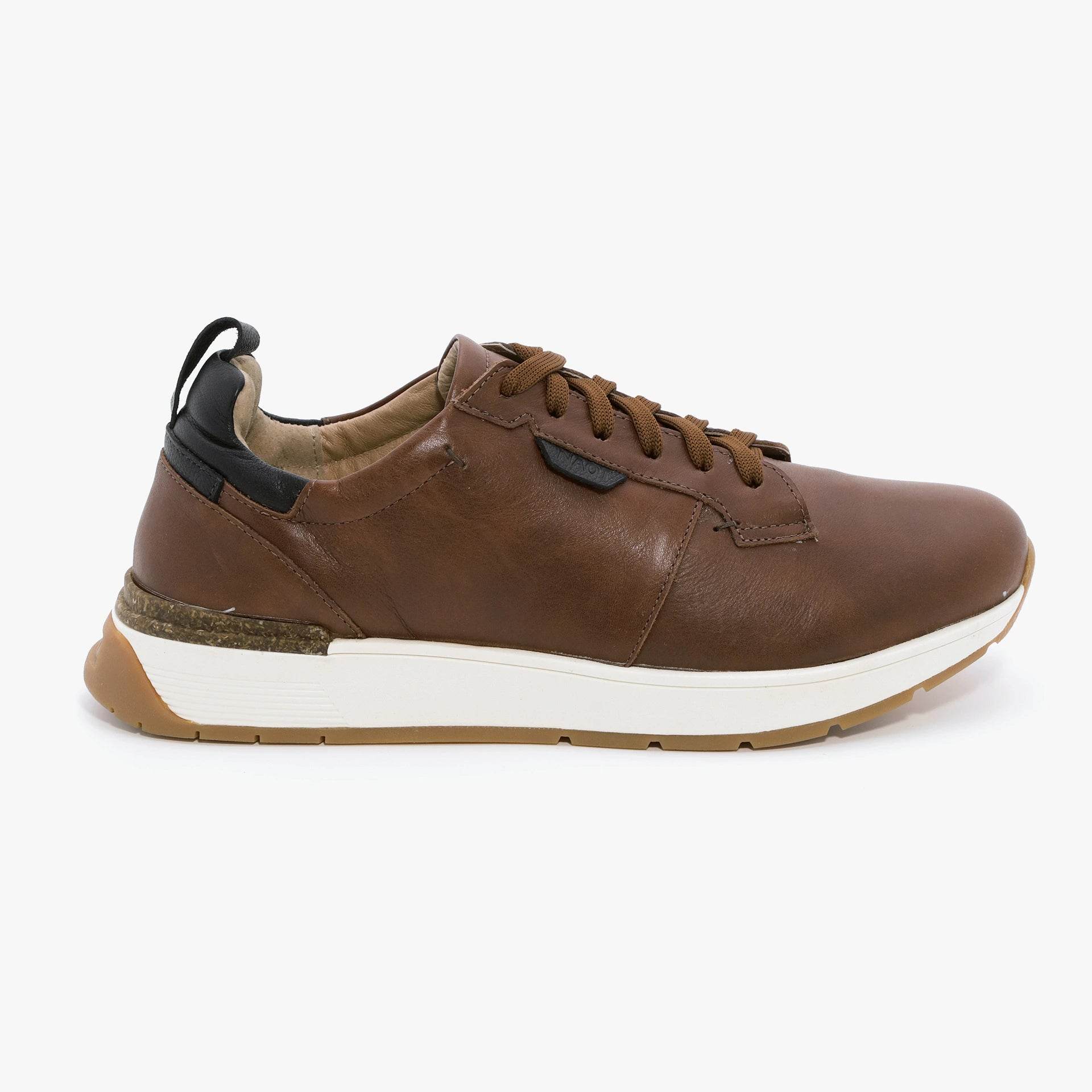 נעל קומפאונד BA6+ED0 - נאות ישראל