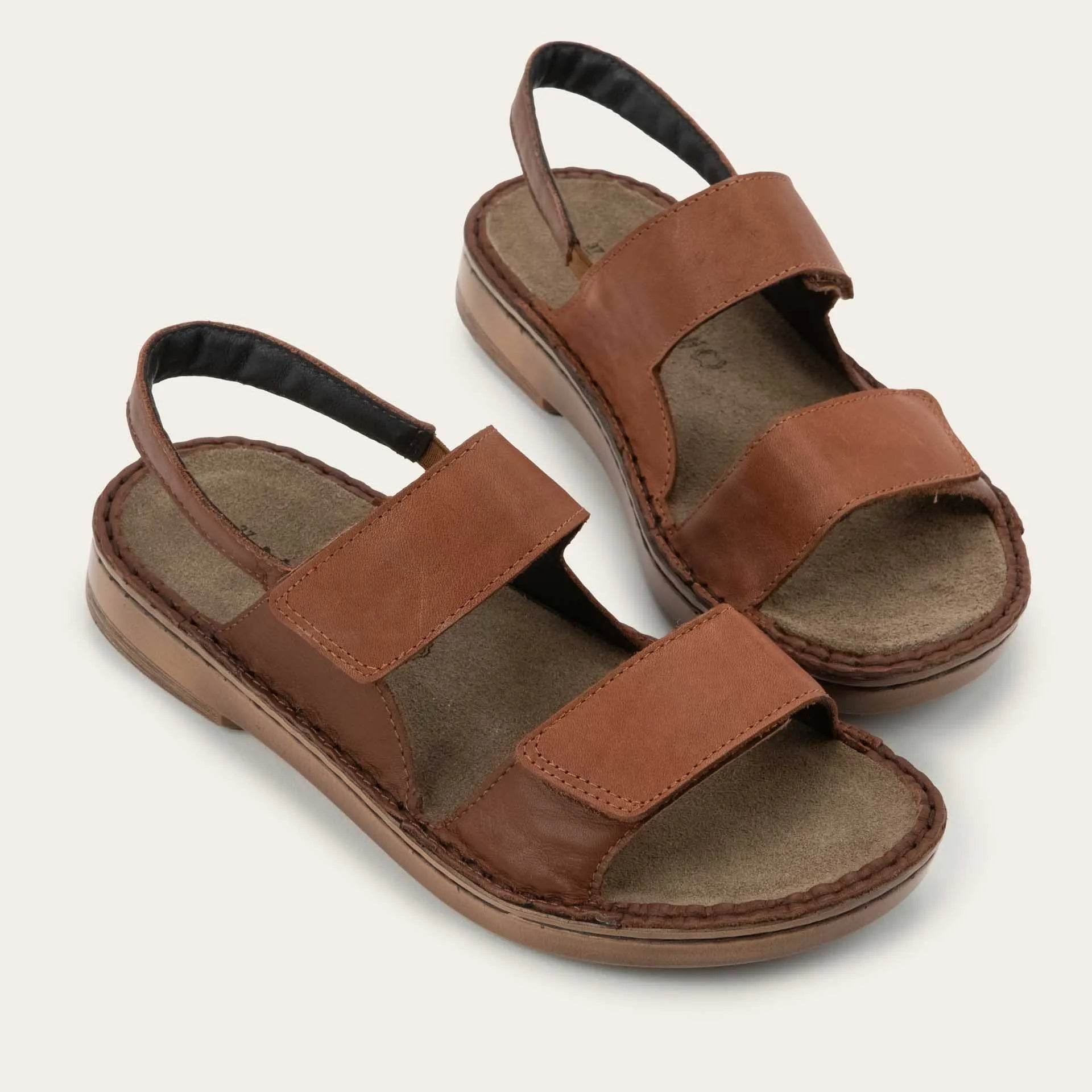 נעל בורגוס E13+ED0 - נאות ישראל