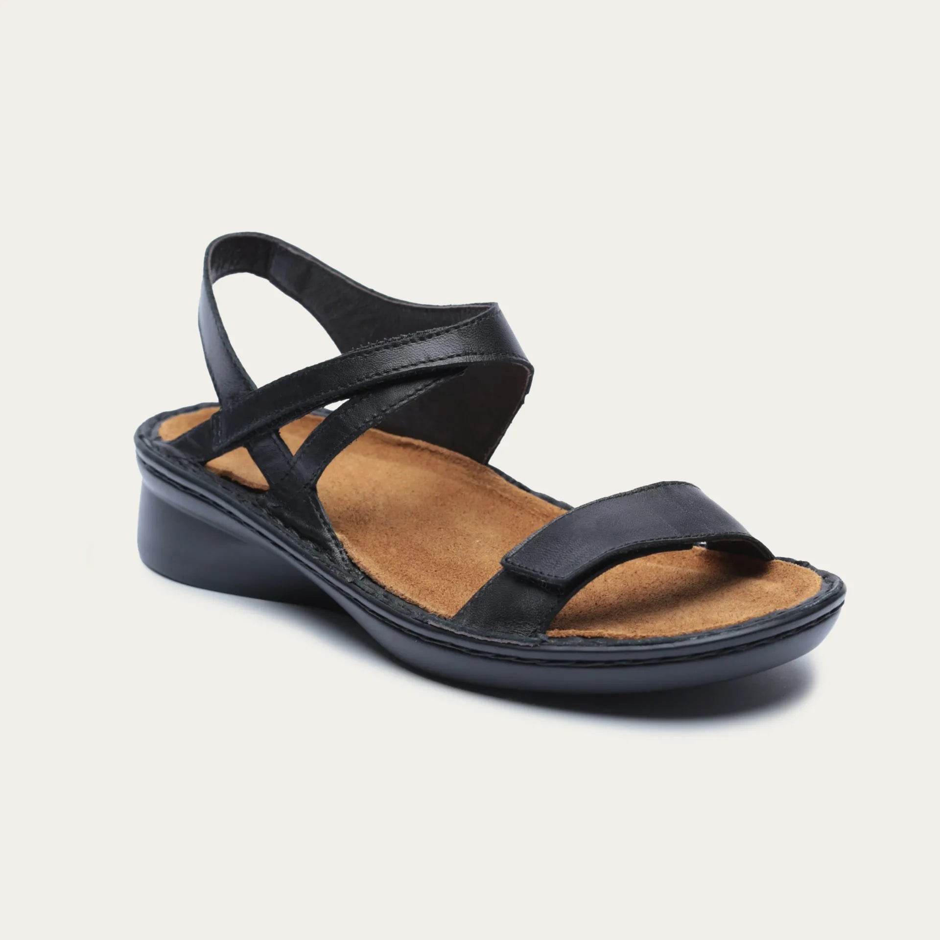 נעל הארפ ע.שחור עורב - נאות ישראל