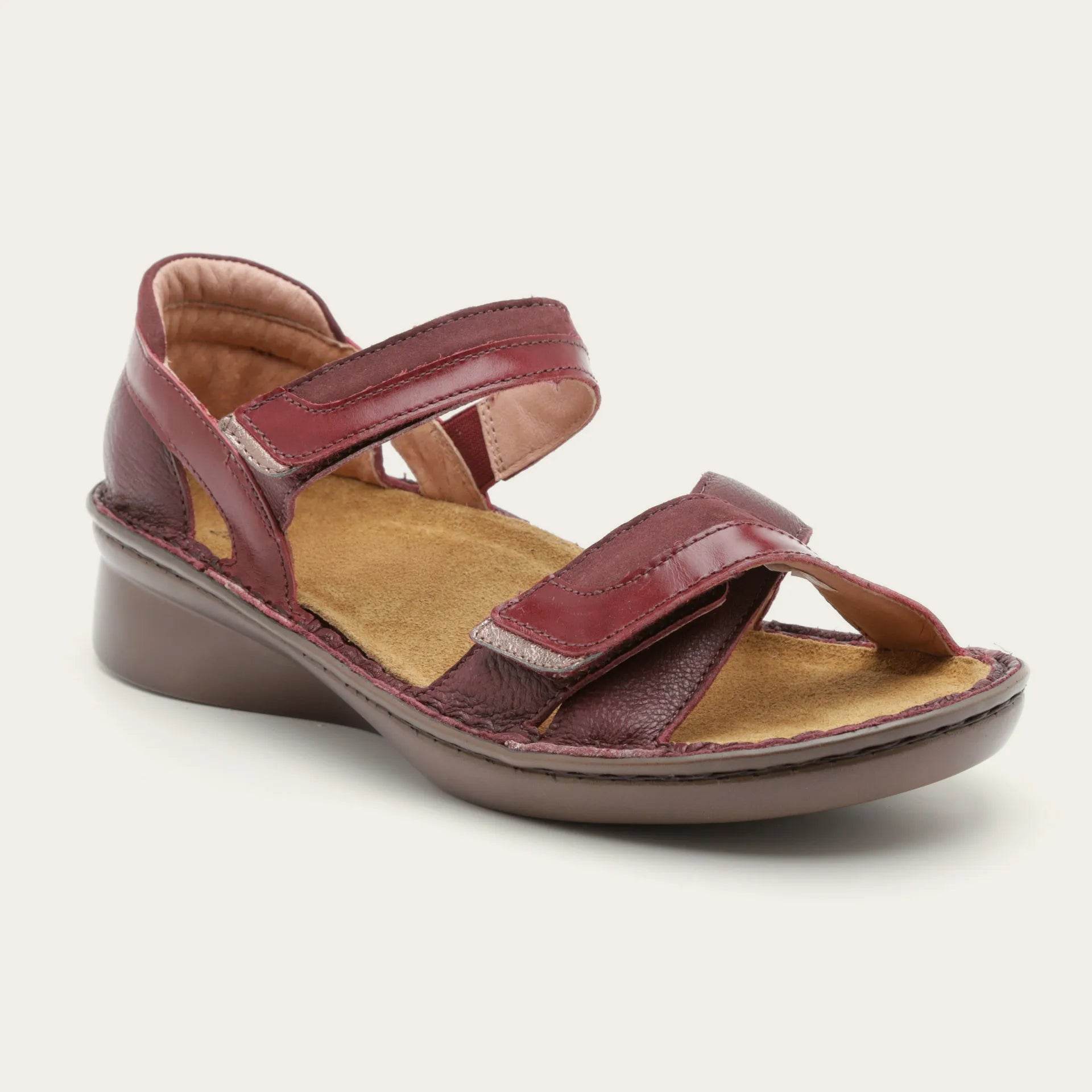 נעל אקוסטיק ED2+C51+080+CAA - נאות ישראל