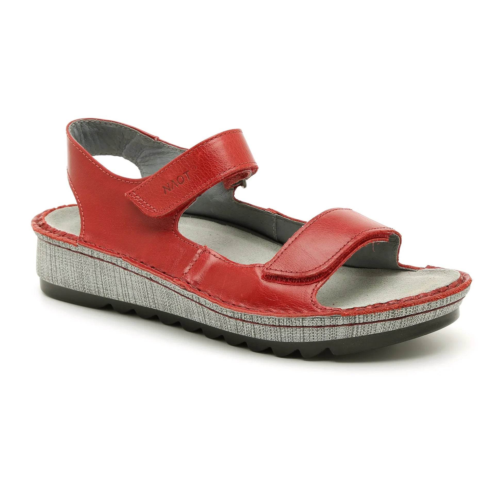 נעל זיניה ע.פרג אדום - נאות ישראל