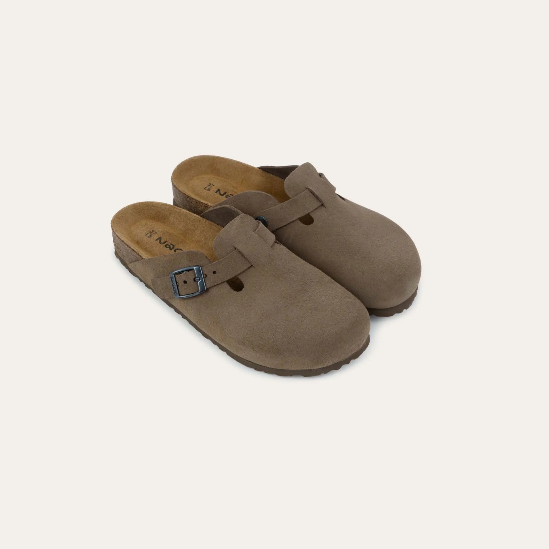 אביבית אפור עכבר