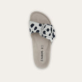 מרילנד שפלט נמר לבן