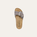 מרילנד חום צ'יטה