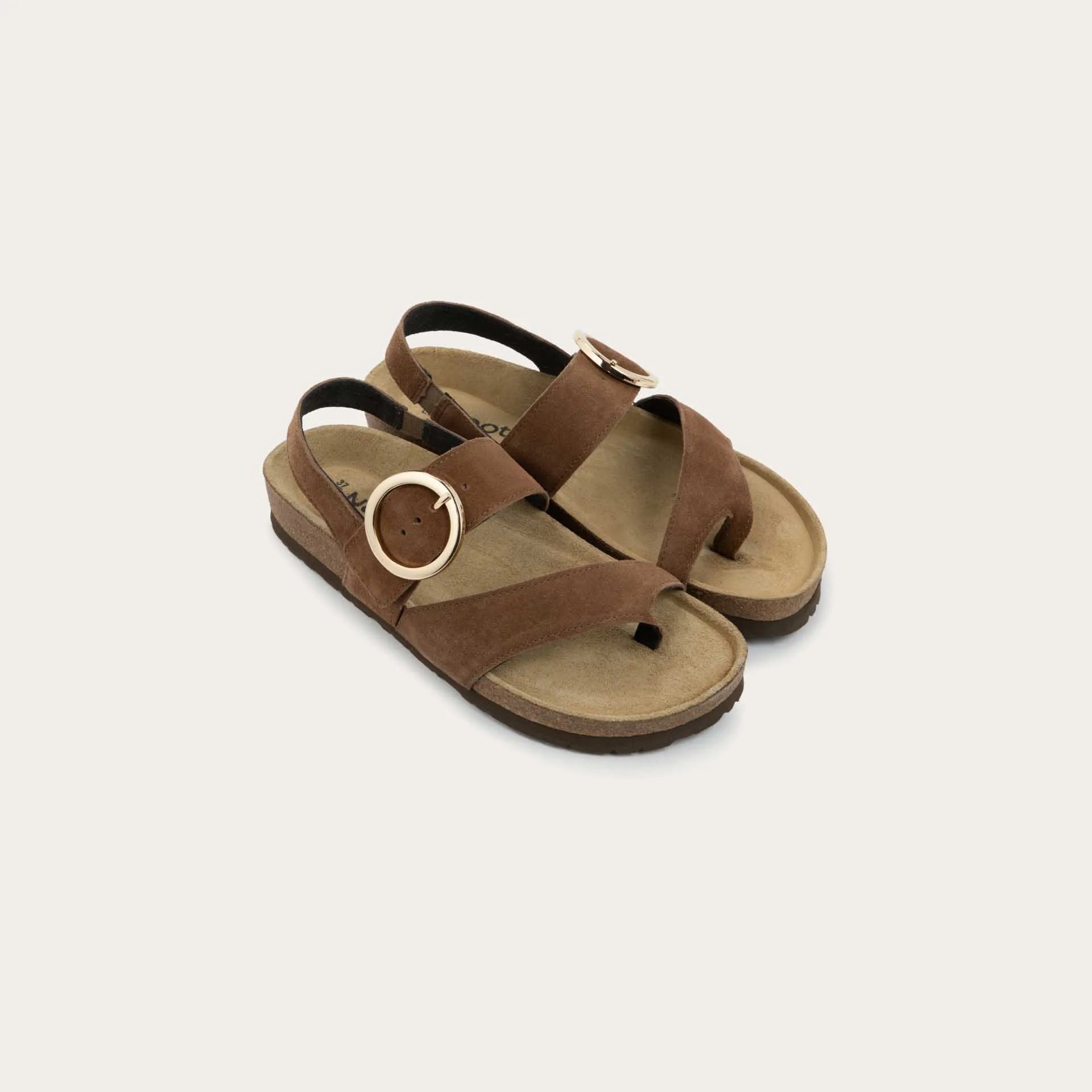 בולטימור חום