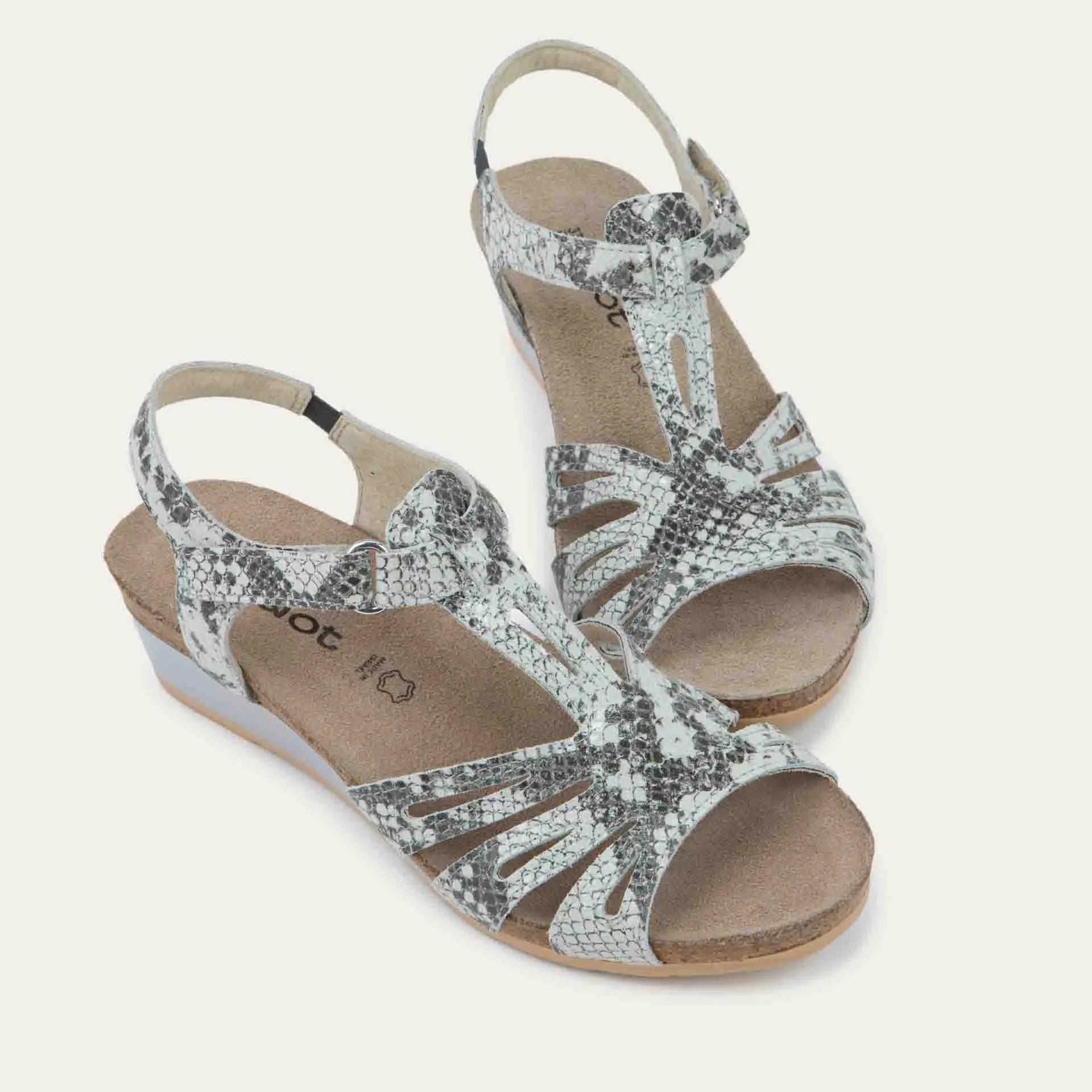 סטארלט שפלט נחש שחור לבן