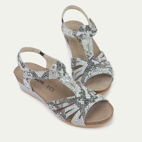 סטארלט שפלט נחש שחור לבן