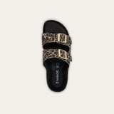 לוס אנג'לס רויאל צ'יטה בז'