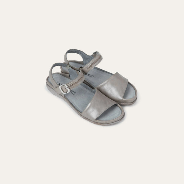 נאגויה אפור