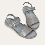 נאגויה אפור