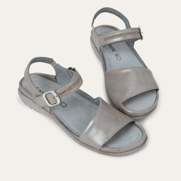 נאגויה אפור