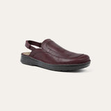 בוראנו בורדו