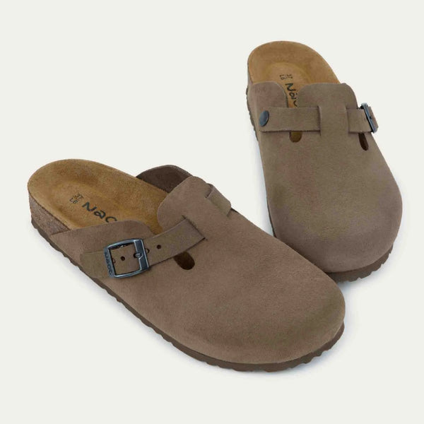 אביבית אפור עכבר