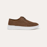 צ'אמפ חום
