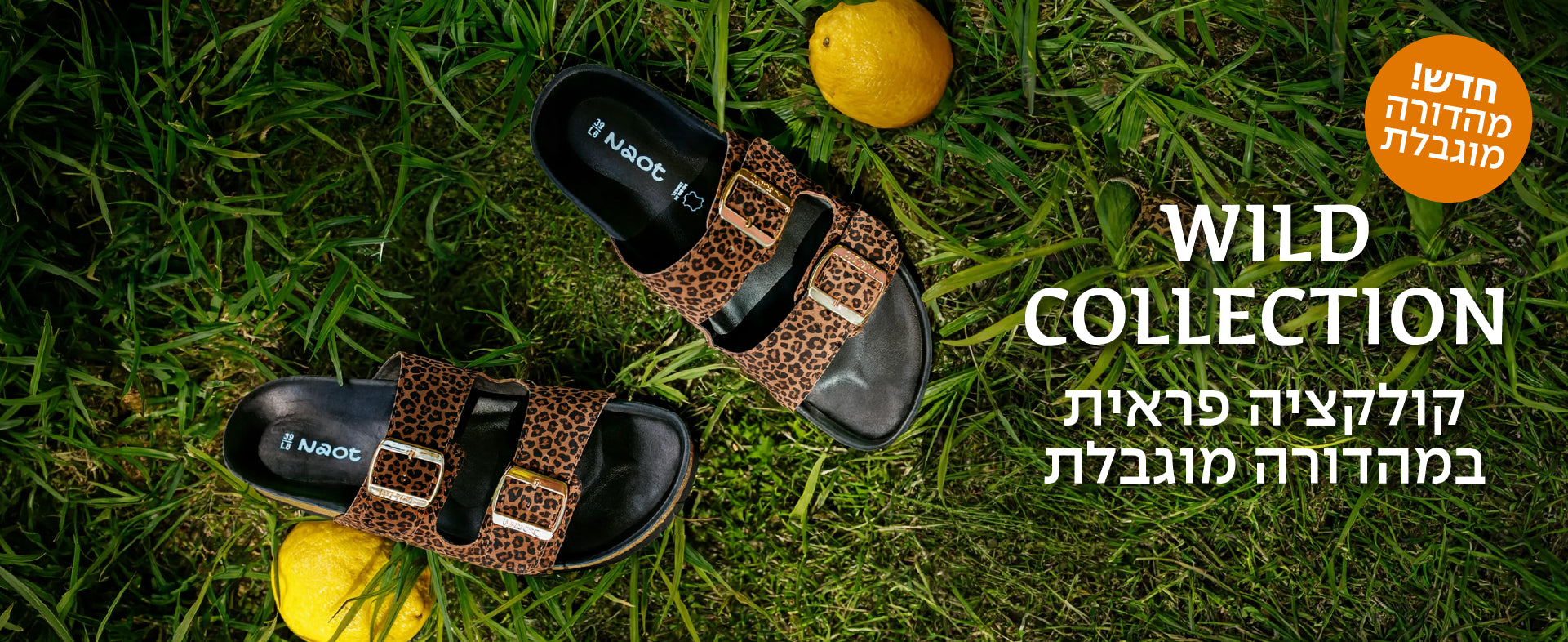 באנר WILD COLLECTION נאות - דסקטופ